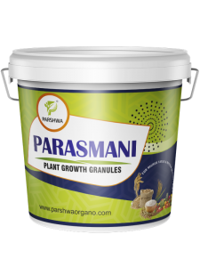 Parasmani